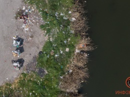 Мертвые черепахи и мусор: как сейчас выглядит озеро Куриное в Днепре?