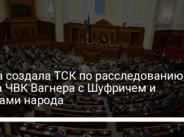 Рада создала ТСК по расследованию дела ЧВК Вагнера с Шуфричем и слугами народа
