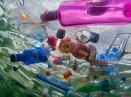 Половину одноразового пластика на планете производят всего 20 компаний