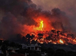 В Греции из-за лесных пожаров эвакуируют села и монастыри