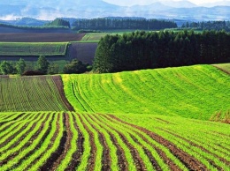 Послы стран "Большой семерки" надеются, что земельная реформа в Украине будет завершена к 1 июля