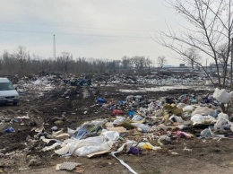 В Житомирской области обнаружили стихийные свалки - земля загрязняется химикатами