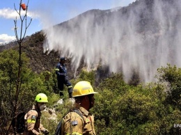 В Греции в пожарах выгорели уже 55 гектаров леса