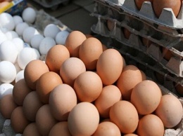 Продажа яиц довела женщину до скамьи подсудимых