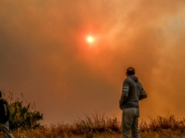 В Греции продолжают тушить лесной пожар, который бушует близ Афин