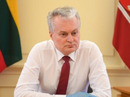Президент Литвы призвал ЕС и НАТО отреагировать на задержание Протасевича в Минске