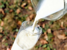 Кувейт открыл рынок для украинской молочки