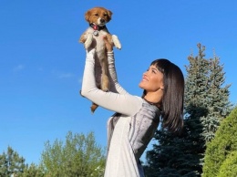 Чуть не погиб от холода: Даша Астафьева взяла щенка из никопольского приюта