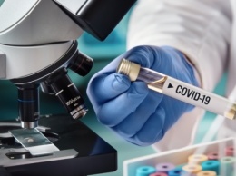 В Бразилии выявили новый штамм коронавируса