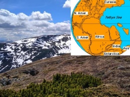 Камень с древнего океана Тетис нашли на вершине Карпат (ФОТО)