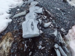 Украинские ученые исследуют кости гигантского кита, найденные возле станции в Антарктиде