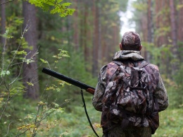 Деятели культуры требуют запретить расширение охотничьих хозяйств