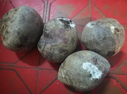 Одесскую фирму заподозрили в поставке гнилой картошки в школы Николаева