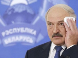 За "голову" Лукашенко предлагает 11 млн евро