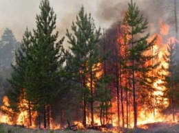 90% пожаров в экосистемах происходит по вине людей, - ГСЧС напоминает о пожарной опасности