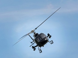 Новозеландец мирно сдался полиции, прилетев в участок на вертолете