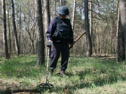 В Харьковской области пиротехники обезвредили несколько мин и артиллерийский снаряд, - ФОТО