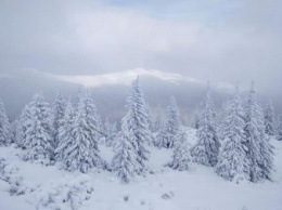 Лета не будет? В украинских Карпатах выпал снег. ФОТО