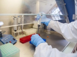 В июне в Ялте откроется первая ПЦР-лаборатория