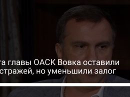 Брата главы ОАСК Вовка оставили под стражей, но уменьшили залог