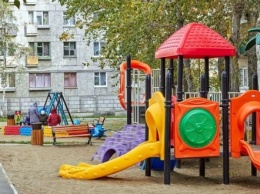 Тарантул "поселился" на детской площадке в Днепре