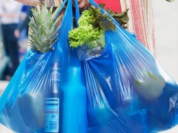 Рада запретила использование пластиковых пакетов