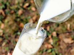 Закупочные цены на молоко остаются высокими - эксперты