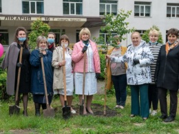 В больнице №16 поздравили детей и высадили «Аллею надежды»