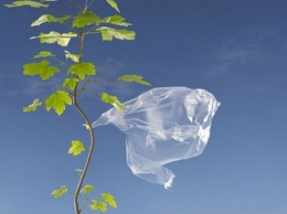 Ограничение обращения пластика приведет к негативной реакции общества из-за более высоких цен на биоразлагаемые пакеты - экологи