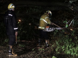 В Днепре на Воронежской упало дерево и перекрыло улицу: на обочине застрял Ford