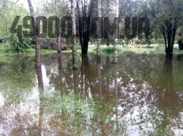 Парк Глобы в Днепре затопило водой и заполонили утки: фото
