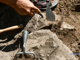 "Черные археологи" грабят раскопки на острове Березань