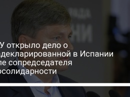 НАБУ открыло дело о незадекларированной в Испании вилле сопредседателя Евросолидарности