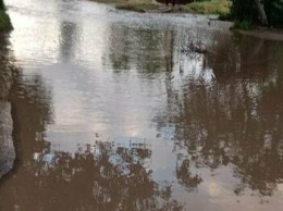 Потоп в Ляпино. В Мариуполе ливнем затопило дома, погибли домашние птицы, - ВИДЕО