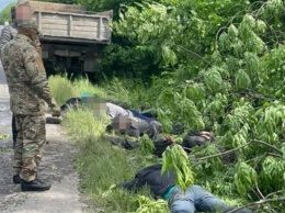 СБУ задержала "черных лесорубов", которые пилили деревья в заповеднике "Подольские Товтры"