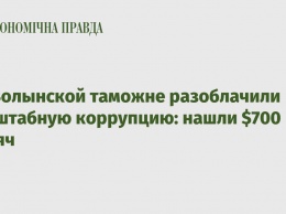 На Волынской таможне разоблачили масштабную коррупцию: нашли $700 тысяч