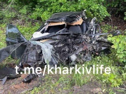 В Харьковской области столкнулись бензовоз и Skoda: обе машины вылетели в кювет, легковушка фактически уничтожена (фото, видео)