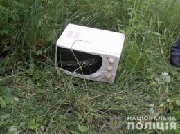 Киевлянин украл из частного дома вентилятор, микроволновку им газонокосилку