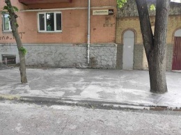Замуровали: в Полтаве болгаркой выпиливали залитые в бетон деревья