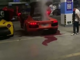 Водитель сжег мотор Lamborghini, пытаясь сделать шашлык у выхлопной трубы (ВИДЕО)