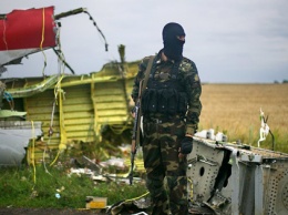 Журналист Bellingcat о сбитом MH17: Все подтверждает, что РФ поставила оружие