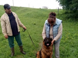 Под Харьковом собака, которую украли три года назад, вернулась к хозяевам