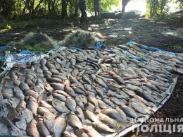 Набраконьерили на 13 тысяч гривен в Нижнерогачикском лимане четверо рыбаков