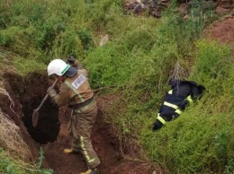 В Кривом Роге тринадцать спасателей вытащили из ямы корову весом 400 килограммов