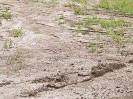 Проехать невозможно: дорогу в Запорожской области затопило грязью - фото