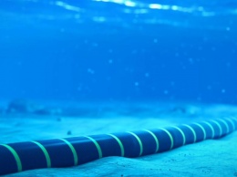 Google соединит два континента длиннейшим подводным кабелем