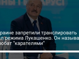 В Украине запретили транслировать канал режима Лукашенко. Он называл добробат "карателями"