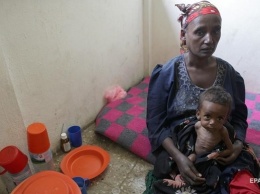 В ООН заявили о голоде в Эфиопии