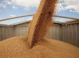 Китай заинтересован в наращивании поставок украинских зерновых и бобовых, - Минэкономики