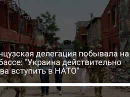 Французская делегация побывала на Донбассе: "Украина действительно готова вступить в НАТО"